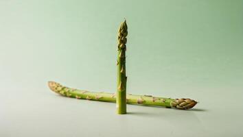 A Single Asparagus Spear with Green Shoots on a Mint Green Background. photo