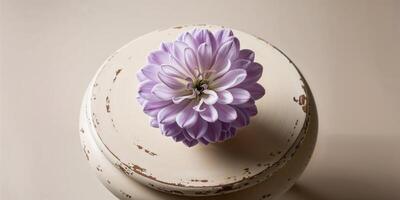 A purple flower sits on top of a white table photo