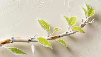 A branch with green leaves on it photo