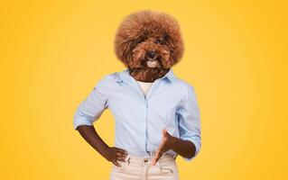 A humorous display features a dog with a fluffy brown head atop a person body, who stands confidently with one hand on their hip. The vibrant yellow backdrop enhances the playful vibe photo