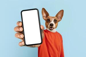 A cheerful dog with floppy ears and a playful expression is holding a smartphone with a blank screen. The dog is wearing an orange shirt and stands against a light blue backdrop photo