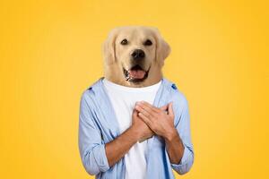 A person stands smiling with their arms crossed over their chest, featuring a golden retriever's head superimposed on their body. The solid yellow background emphasizes the playful and humorous nature photo