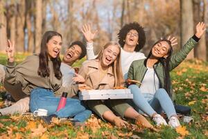 Emotional international friends enjoying sunny day, having picnic with pizza at park photo