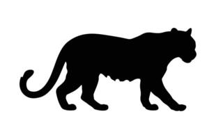Leopard Predator Silhouette isolated on a white background vector