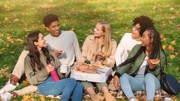 Carefree multiethnic hipsters enjoying take away pizza, having picnic in forest photo