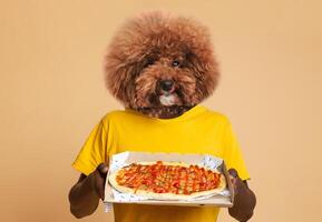 The individual stands against a simple background, proudly holding a large pizza topped with various ingredients. They are dressed in a bright yellow shirt and have a comical dog headpiece photo