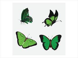 Green butterflies illustration vector