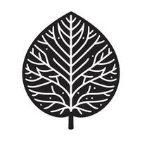 A black and white illustration of a leaf vector