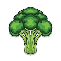 Broccoli illustration white background design vector