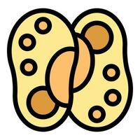 Yellow bean showing inside seeds icon representing seed dispersal vector