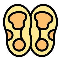 Pair of orthopedic insoles showing their shape and function vector