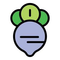 Purple turnip growing with green leaves icon showing three stages of growth vector