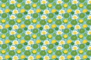 Pattern with Lotus cucumber and flowers background vector