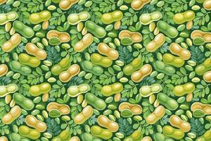 Pattern with Fava beans illustration of bean. vector