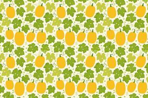 Orange sponge gourd and leaves pattern background vector