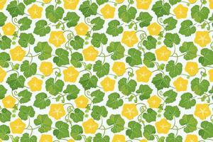 Sponge Gourd with leaves pattern texture illustration vector