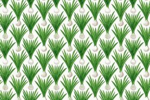 Pattern with green onion on white background illustration. vector