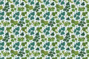 Pattern with leaves of coriander illustration. vector