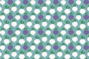 Radish pattern. Turnips vegetable beautiful background . vector
