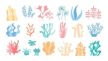 Balanced set of aquatic elements including different types of seaweed and coral. Depicts underwater marine life, ideal for ocean reef and marine life environment. vector