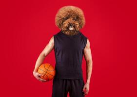A humorous visual displays an anthropomorphized dog with a fluffy head and a muscular human body. The creature stands confidently, grasping a basketball in one hand photo