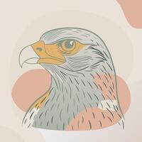 A drawing of an eagle with a beak vector