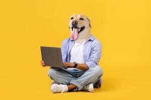 A cheerful and imaginative character with a dog's head is sitting cross-legged, intently focused on a laptop. The vibrant yellow backdrop adds a lighthearted touch to the scene photo