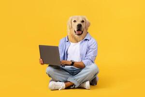 A person with the head of a dog is sitting cross-legged on a vibrant yellow background, intently focused on a laptop in front of them. The character is casually dressed, blending human and dog photo