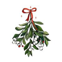 A mistletoe with berries and red ribbon vector