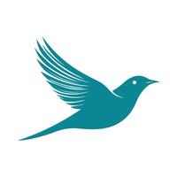A bird flying in the air with its wings spread out vector
