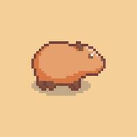 Pixel art capybara game asset design vector