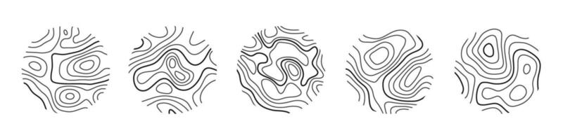 Circular wood rings or topographic map lines texture set. Wood tree topographic abstract lines collection vector