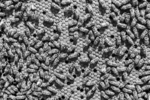 Abstract hexagon structure is honeycomb from bee hive filled photo