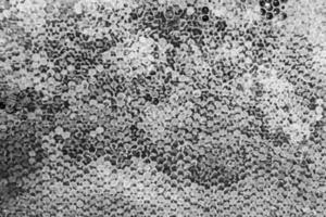 Abstract hexagon structure is honeycomb from bee hive filled photo