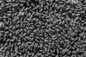 Abstract hexagon structure is honeycomb from bee hive filled photo