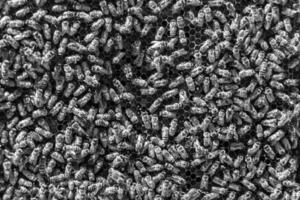 Abstract hexagon structure is honeycomb from bee hive filled photo