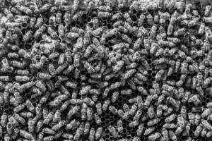 Abstract hexagon structure is honeycomb from bee hive filled photo