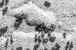 Abstract hexagon structure is honeycomb from bee hive filled photo