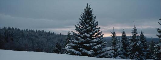 A snowy forest with trees and a sunset photo