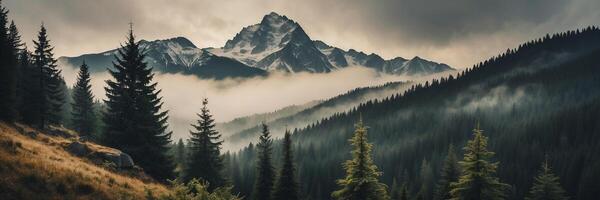 Mountains and trees in the fog with a cloudy sky photo