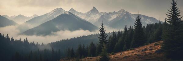Mountains and trees in the fog with fog rolling in photo