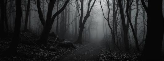 A dark path in the woods with trees and fog photo