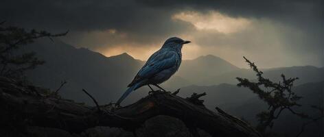 A blue bird sits on a branch in front of mountains photo