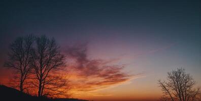 A sunset with trees and clouds in the background photo