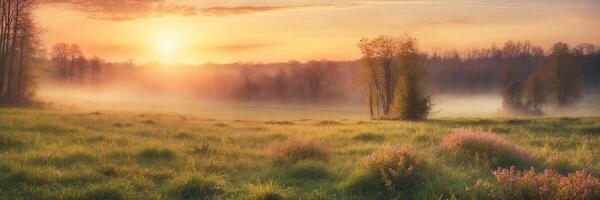 A beautiful sunrise over a field with trees and grass photo