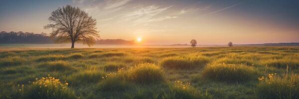A field with trees and grass at sunrise photo