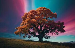 A tree with colorful leaves and a colorful sky photo