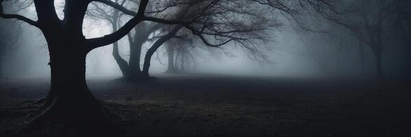 A dark forest with trees and fog photo
