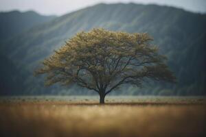A lone tree stands in a field with mountains in the background photo