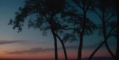 A sunset over the ocean with trees in the background photo